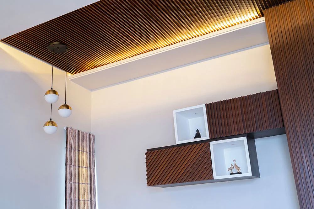 Patel Residence, photo 5