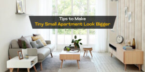 Read more about the article 10 Clever Tips to Make Your Tiny Apartment Look Bigger